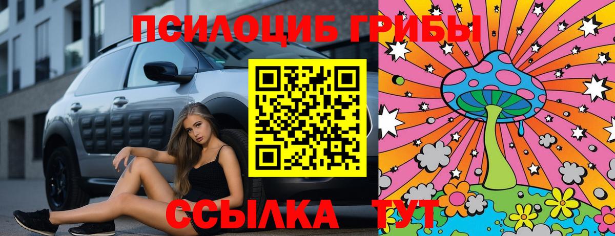 Галлюциногенные грибы Cubensis  Вход с VPN  Каменск-Шахтинский 